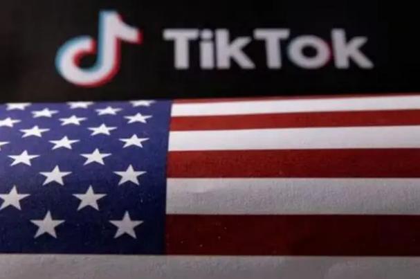 TikTok刷粉团队,标题：揭秘TikTok刷粉团队：背后隐藏的商业秘密!