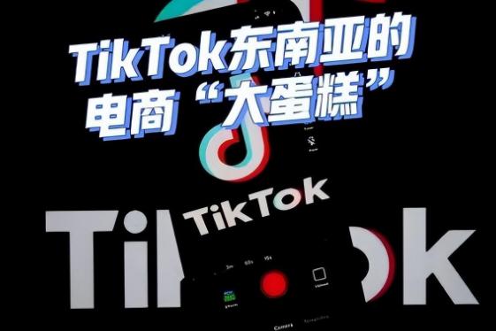 抖音国际TikTok批量刷粉机