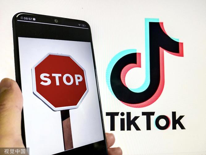 谁有TikTok刷粉,TikTok刷粉：揭秘背后的真相与风险!