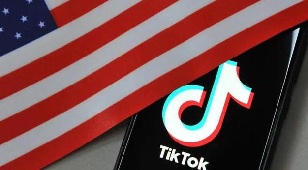 TikTok淘宝买的粉,淘宝购买的TikTok粉丝:一种可能的风险与机会!