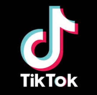 刷网站刷赞抖音国际TikTok