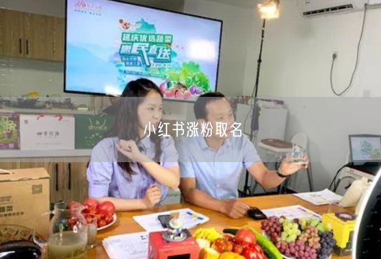 小红书涨粉取名